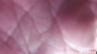 フルhd 靴カメくん お手軽携帯撮影 8 オムニバス編 voyeur jp